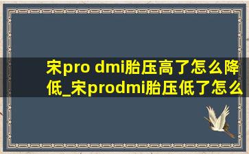 宋pro dmi胎压高了怎么降低_宋prodmi胎压低了怎么办